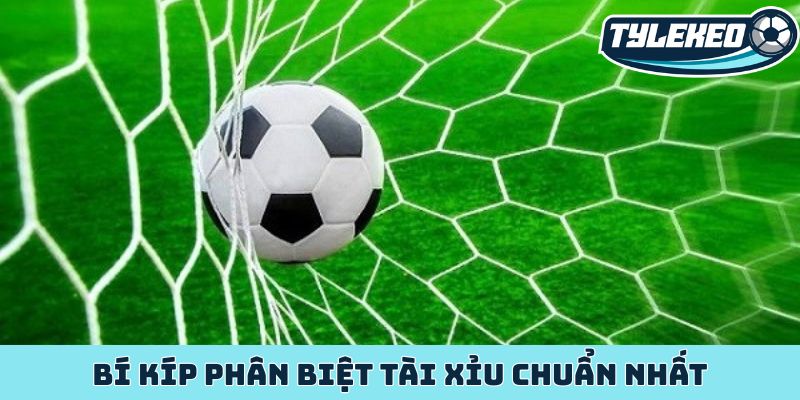 Giải mã kèo tài xỉu - Tỷ lệ kèo hấp dẫn không thể bỏ qua 2 Bí kíp phân biệt tài xỉu chuẩn nhất
