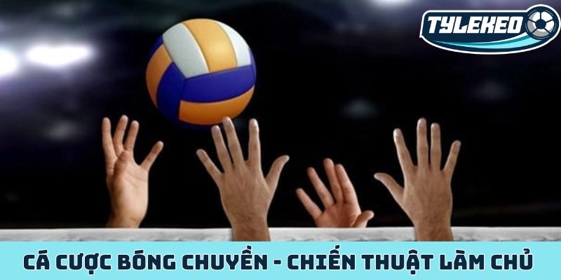 Cá cược bóng chuyền