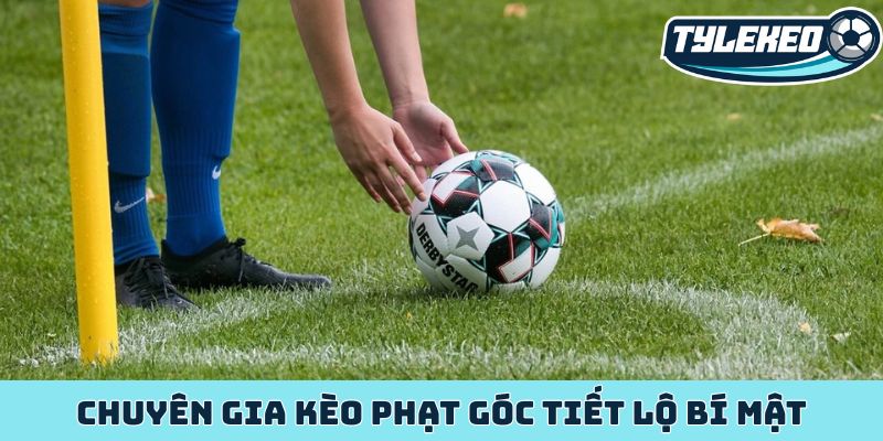 Giải mã kèo phạt góc - bí quyết bắt kèo độc nhất từ cao thủ 4 Chuyên gia kèo phạt góc tiết lộ bí mật