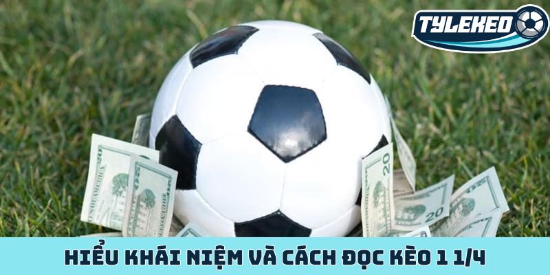 Hiểu khái niệm và cách đọc kèo 1 1/4
