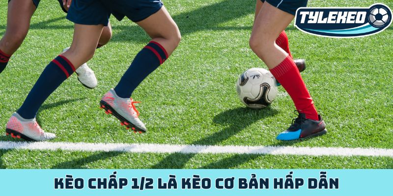 Kèo chấp 1/2 là kèo cơ bản hấp dẫn
