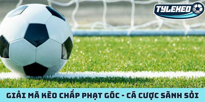 Giải mã kèo chấp phạt góc - Chiến lược cá cược sành sỏi nhất 2 Kèo chấp phạt góc