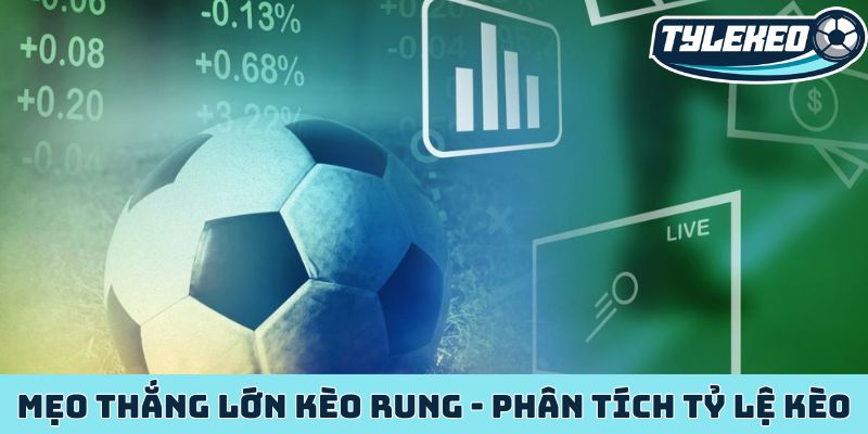 Bí mật thắng lớn kèo rung - Phân tích tỷ lệ kèo từng giây 5 Kèo rung