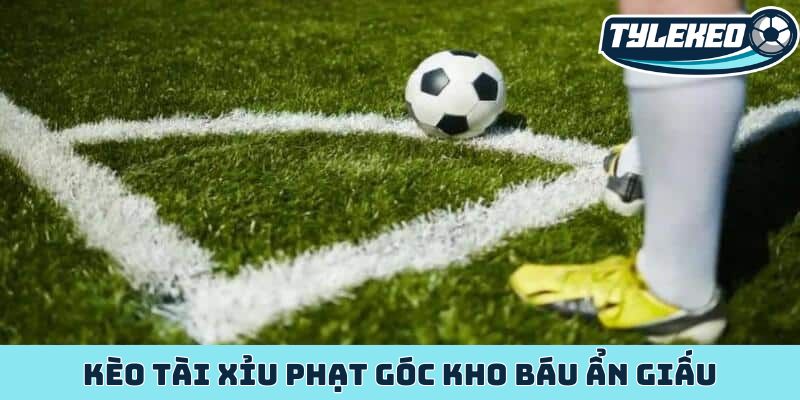 Kèo tài xỉu phạt góc kho báu ẩn giấu trong từng quả phạt 4 Kèo tài xỉu phạt góc
