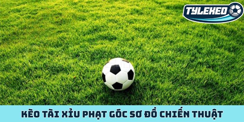 Kèo tài xỉu phạt góc kho báu ẩn giấu trong từng quả phạt 4 Kèo tài xỉu phạt góc sơ đồ chiến thuật