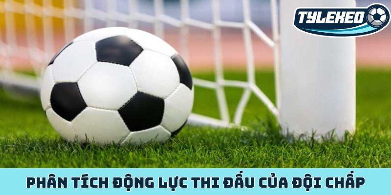 Phân tích động lực thi đấu của đội chấp