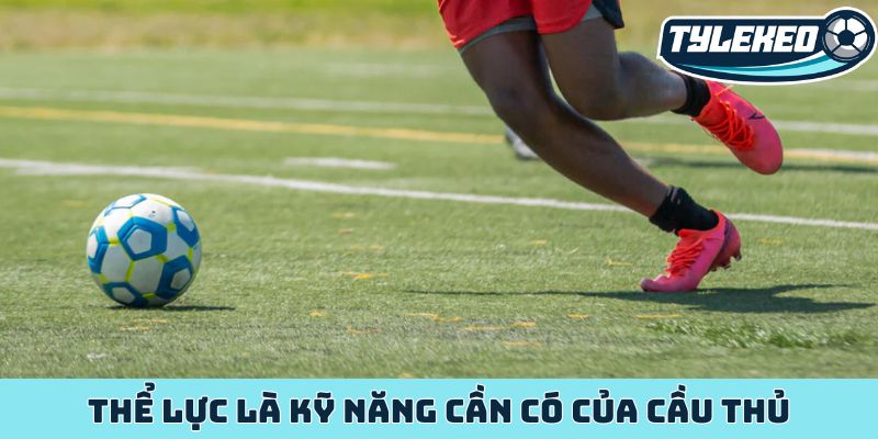 Tiền đạo phòng ngự là gì - Thấu hiểu bí quyết chiến thắng 3 Thể lực là kỹ năng cần có của cầu thủ