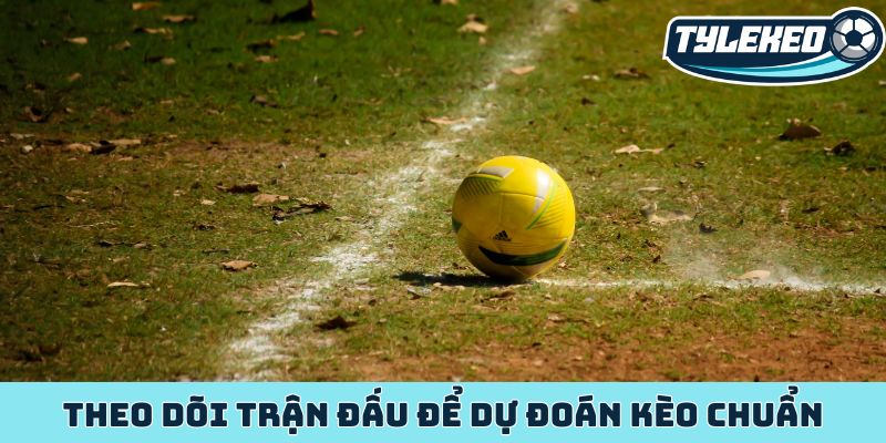 Theo dõi trận đấu để dự đoán kèo chuẩn