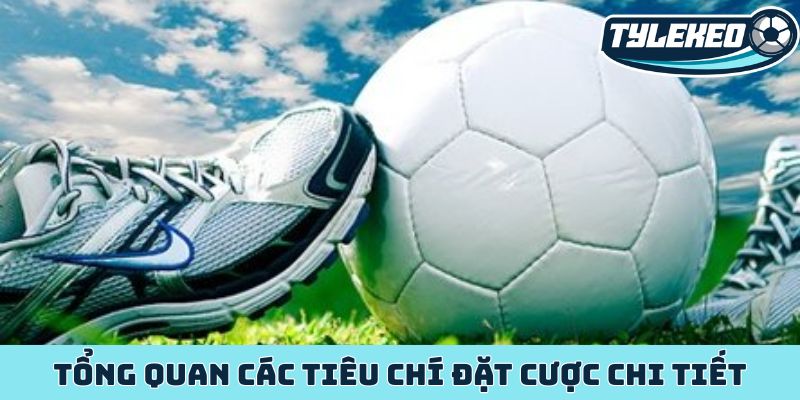 Bí mật thắng lớn kèo rung - Phân tích tỷ lệ kèo từng giây 4 Tổng quan các tiêu chí đặt cược chi tiết