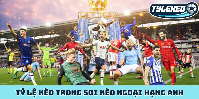 Khai thác dữ liệu - Bí quyết soi kèo Ngoại Hạng Anh đột phá 2 Tỷ lệ kèo trong soi kèo Ngoại hạng Anh