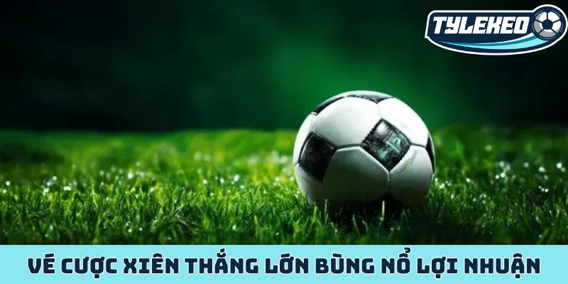 Vé cược xiên thắng lớn bùng nổ lợi nhuận